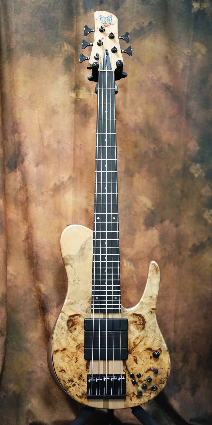 Bass / ベース専門店 タイズストア